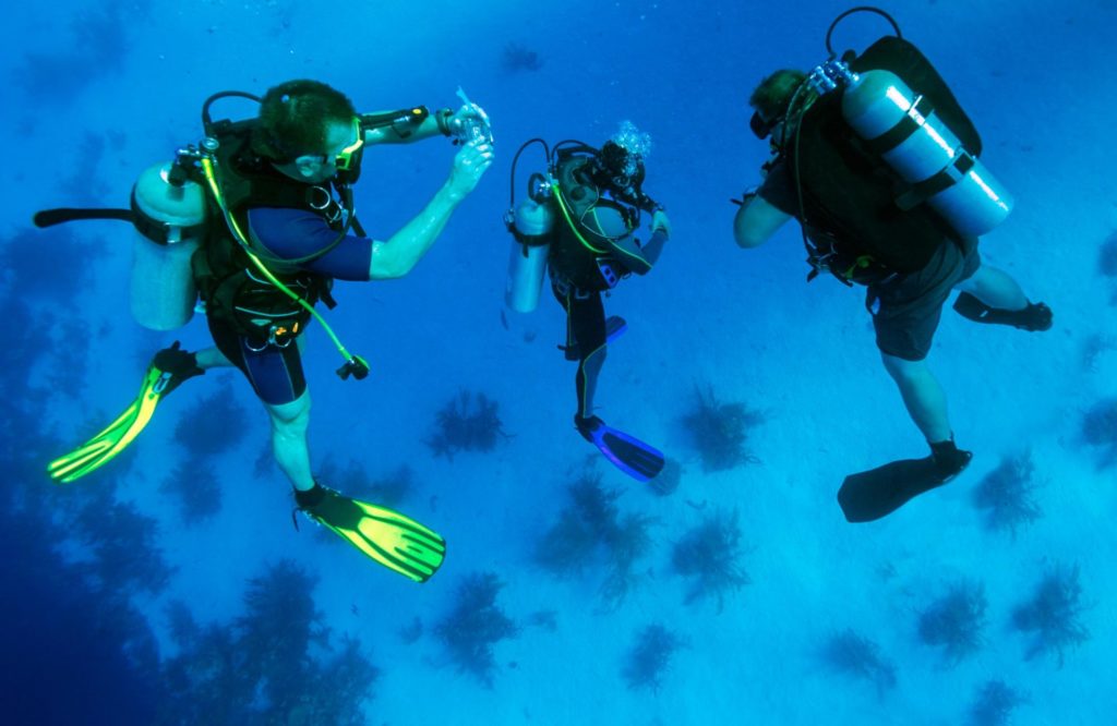 How To Bring Your Dream of Being a Scuba Diver to Life