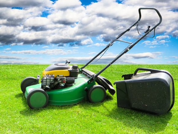 Top 5 Best Lawn Mowers in 2020