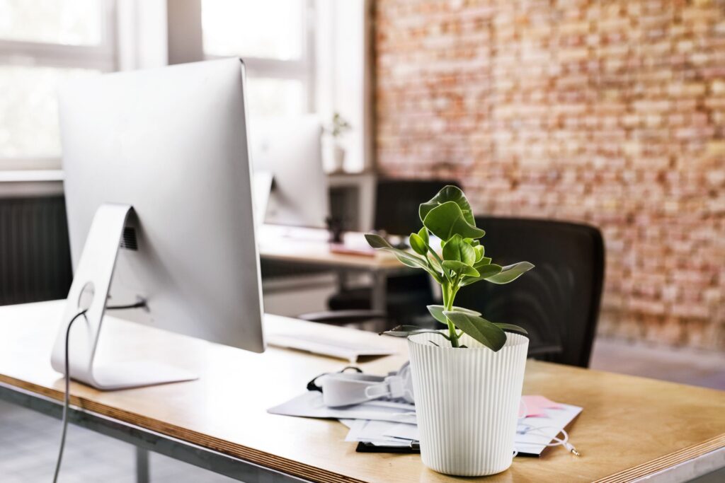 What Are the Best Types of Plants for Offices?