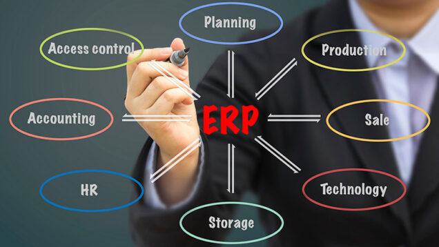 How Do Enterprise Resource Planning Systems Work?