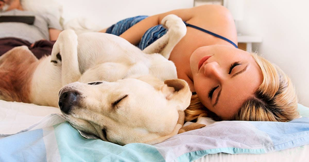 Getting The Best Possible Sleep With Your Pet