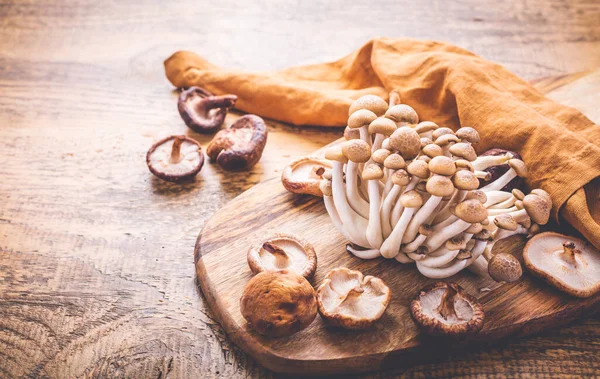 How Mushroom Adaptogen Blends Enhance Energy and Mental Clarity