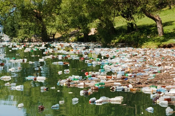 Causes of Plastic Pollution: What Drives the Crisis and How It Persists Causes of Plastic Pollution: What Drives the Crisis and How It Persists